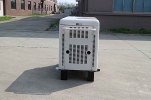 ژنراتوربرق دوگانه‌سوز SL12000W-SE-DF SLONG 